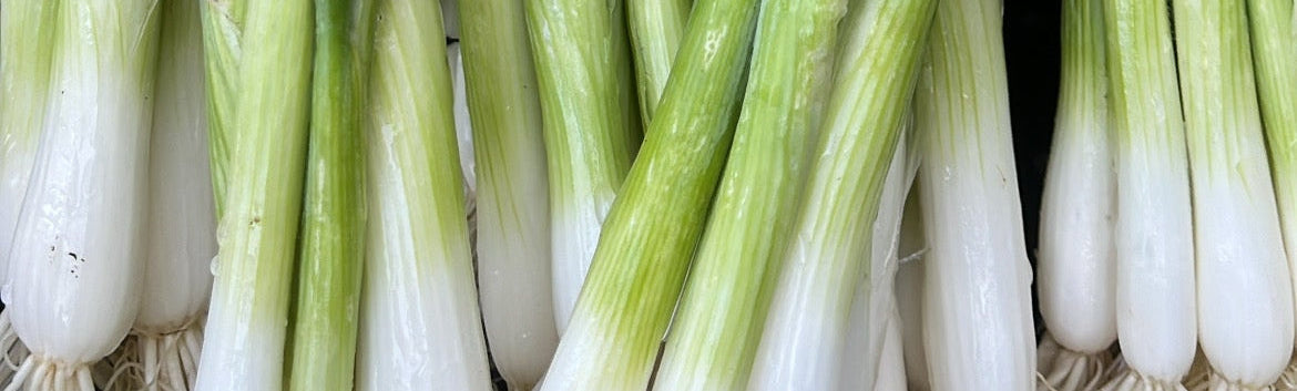 Canasta de hortalizas orgánicas - despacho gratis