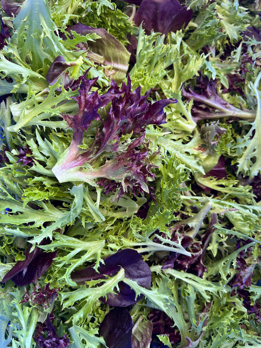 Lechuga baby