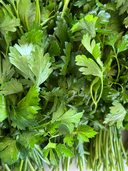 Canasta de verduras orgánicas - despacho gratis