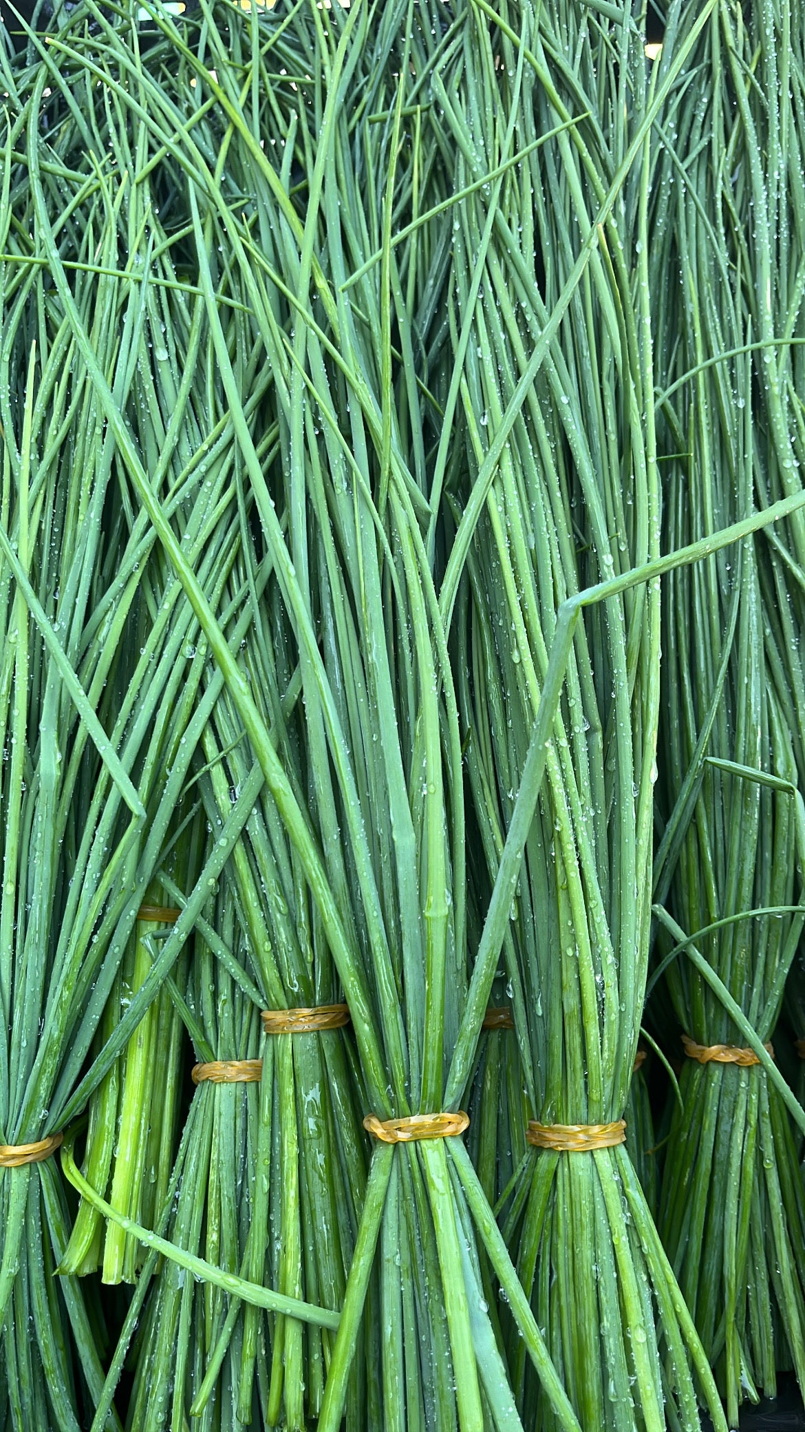 Ciboulette fresco – Atado 30 g