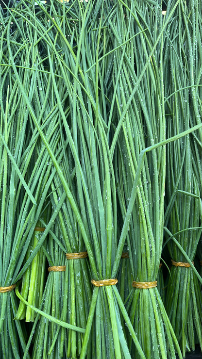 Ciboulette fresco – Atado 30 g