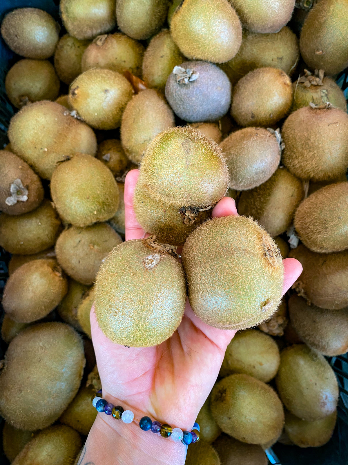 Kiwi orgánico