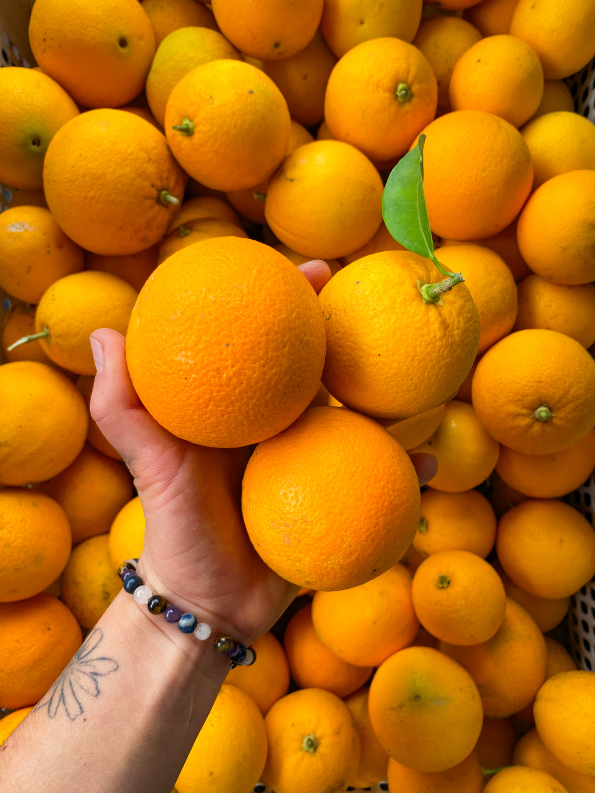 Naranjas