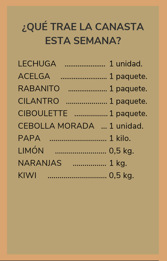Canasta de verduras orgánicas - despacho gratis