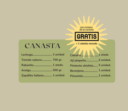 Canasta de hortalizas orgánicas - despacho gratis - cebolla de regalo