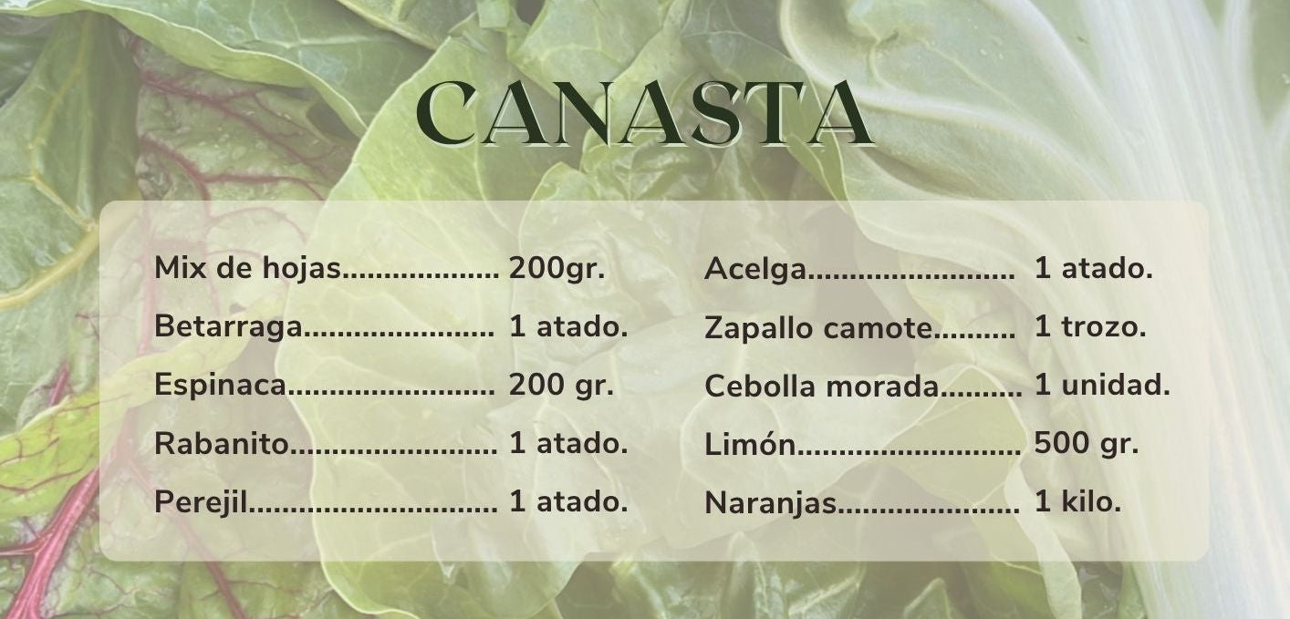 Canasta de verduras orgánicas - despacho gratis