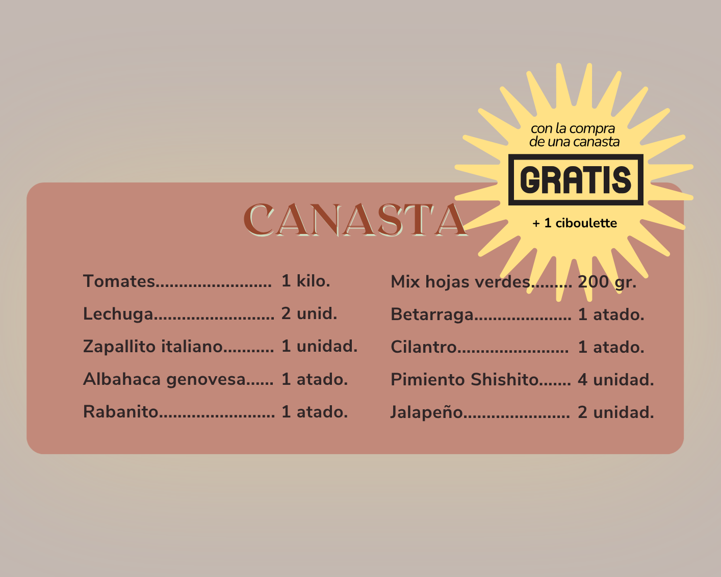 Canasta de verduras orgánicas - despacho gratis - ciboulette de regalo