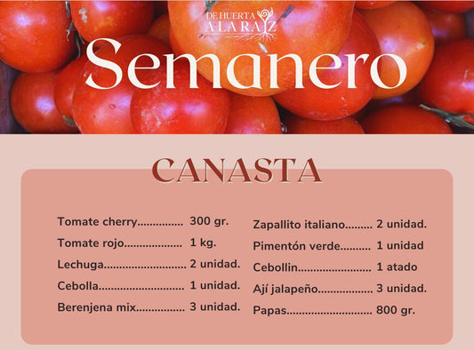 Canasta De Huerta a la Raíz