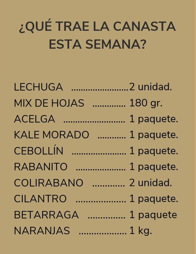 CANASTA SEMANAL: de verduras orgánicas - despacho gratis