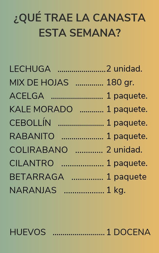 CANASTA HUEVERA: Canasta semanal + 12 huevos + despacho gratis