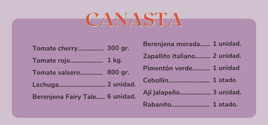 Canasta de hortalizas orgánicas - despacho gratis