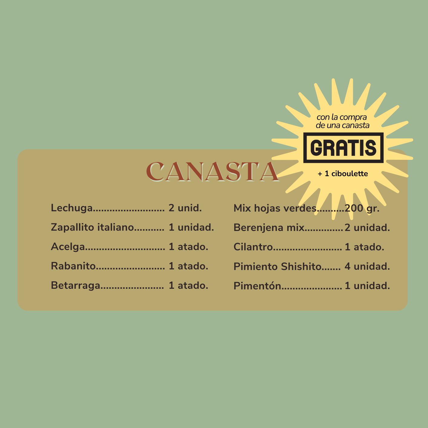 Canasta de hortalizas orgánicas - despacho gratis - ciboulette de regalo