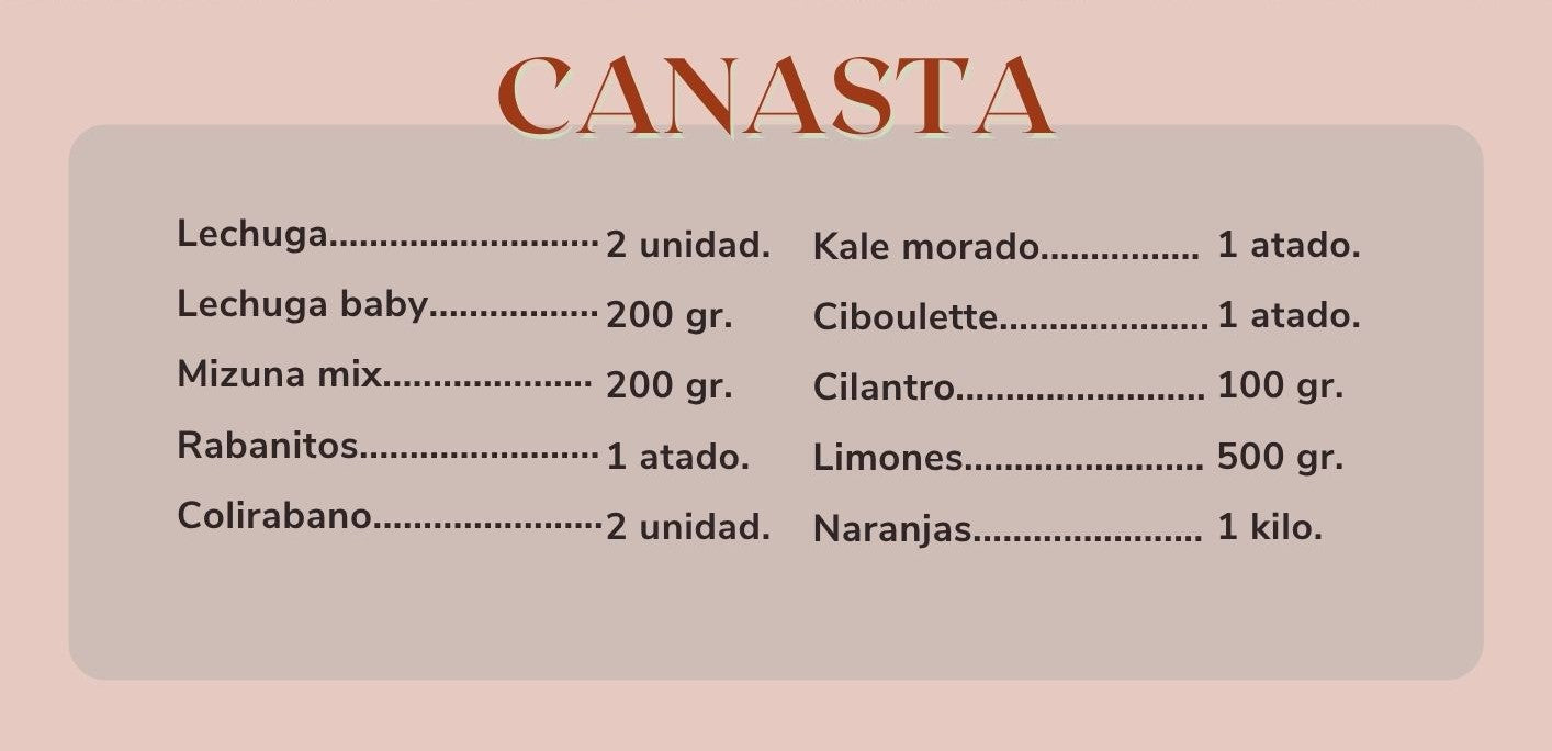 Canasta De Huerta a la Raíz