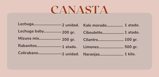 Canasta De Huerta a la Raíz