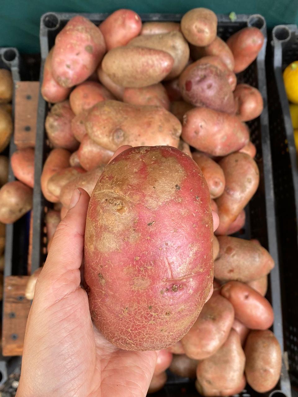 Papas orgánicas