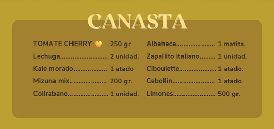 Canasta De Huerta a la Raíz (envío inlcuído)