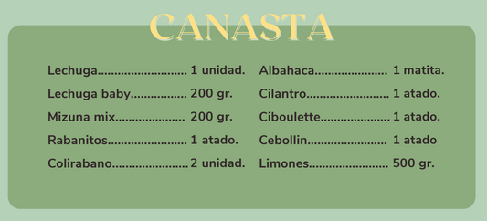 Canasta De Huerta a la Raíz