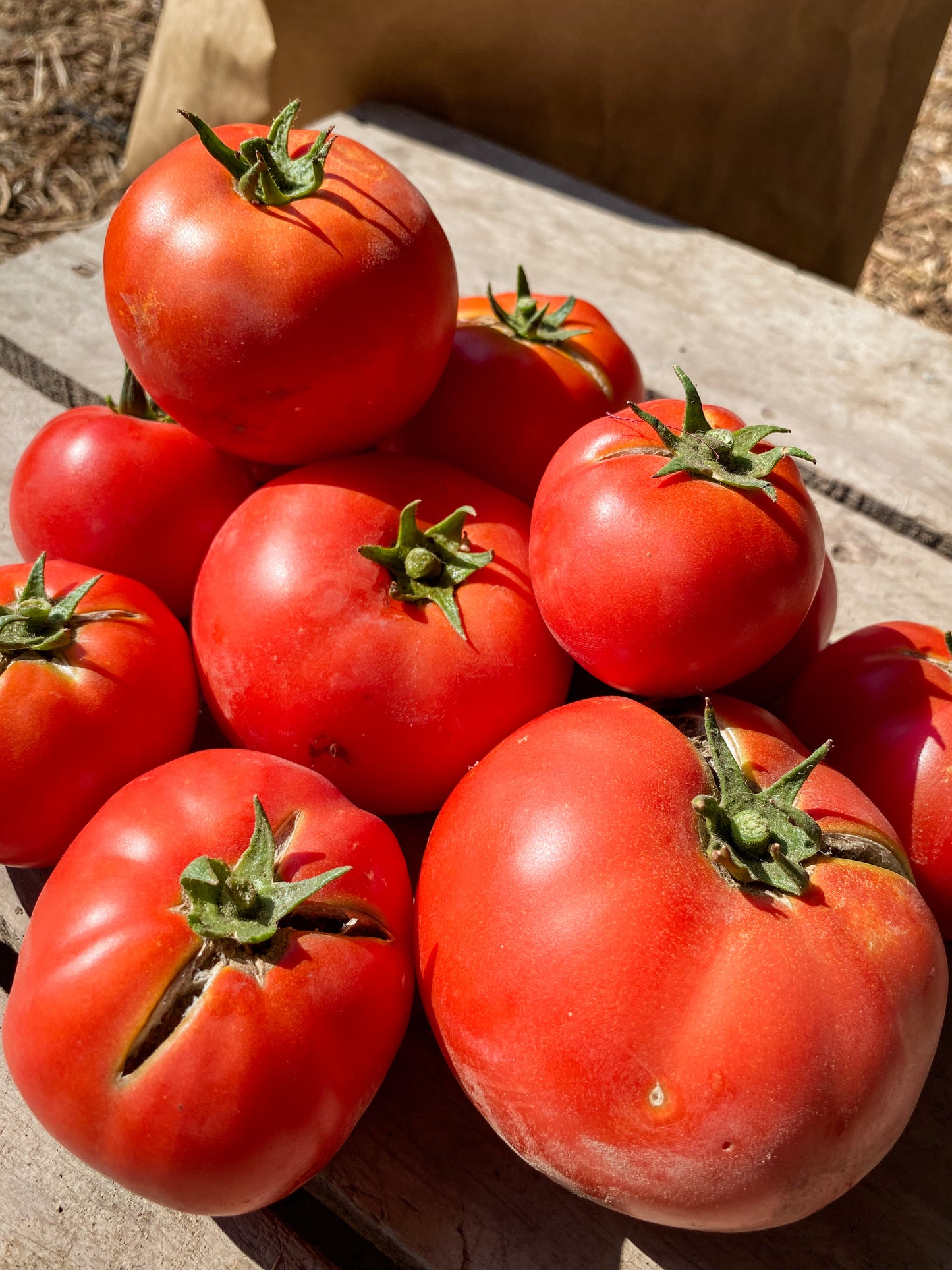 Tomate con olor y sabor a tomate 🍅